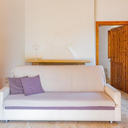 Apartament Ulivo-Chianti Charming Flat With Private Parking! Asciano Zewnętrze zdjęcie