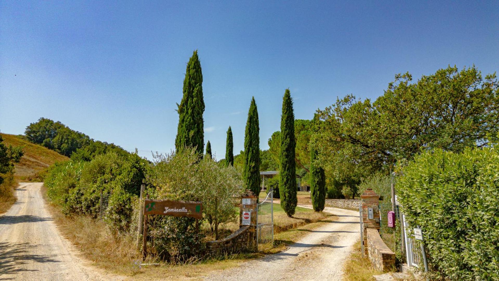 Apartament Ulivo-Chianti Charming Flat With Private Parking! Asciano Zewnętrze zdjęcie